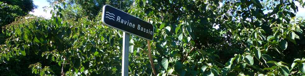 2 mai 2014 - St-Paul - Le Ruisseau - Ravine Bassin