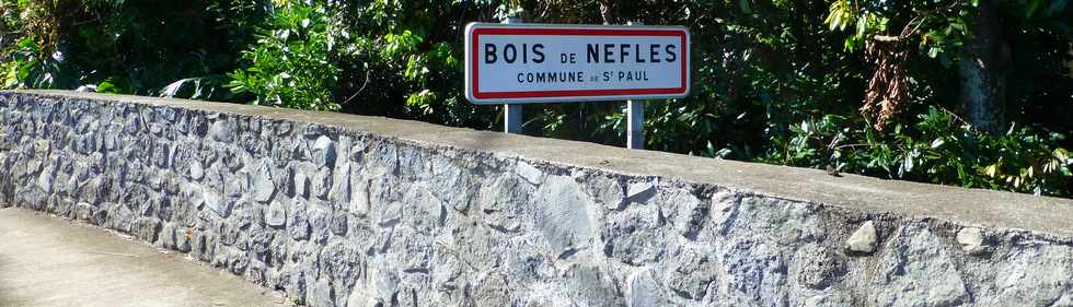 2 mai 2014 - St-Paul - Bois de Nfles -