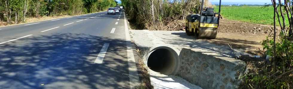 2 mai 2014 - St-Paul - La Plaine - Descente vers Savanna