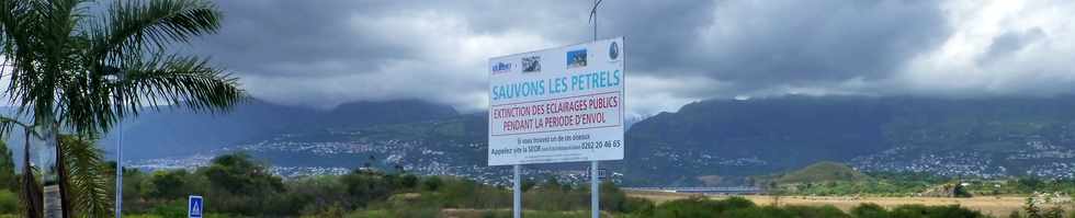 Saint-Paul  vlo - 2 mai 2014 - Sauvons les ptrels