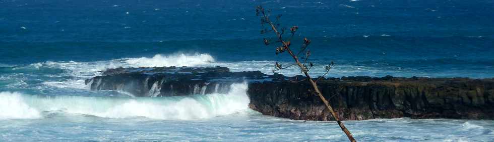 4 mai 2014 - St-Pierre - Pointe du Diable -