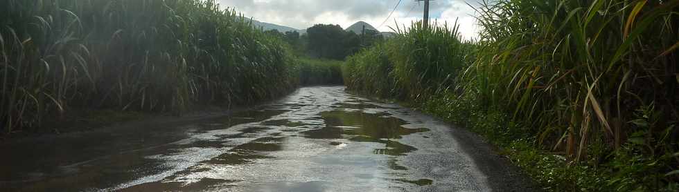 7 mai 2014 - St-Pierre - Pluie artificielle chemin Bassin Plat