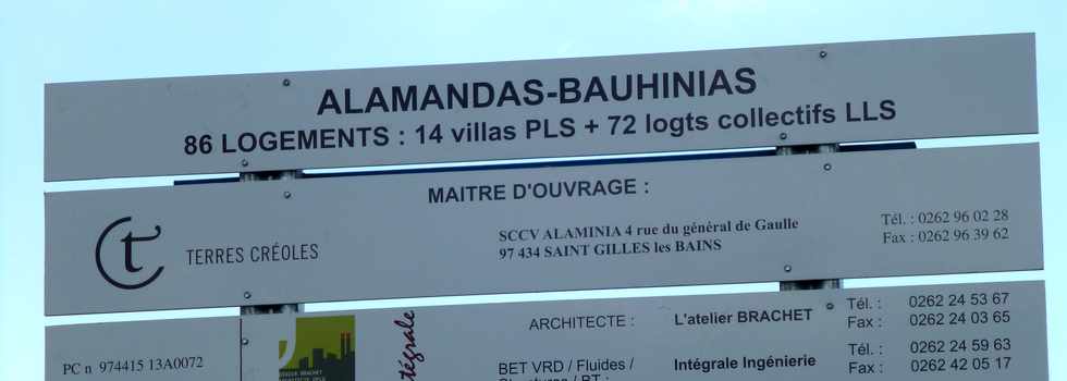 15 mai 2014 - St-Paul - D10 - Alamandas-Bauhinias -