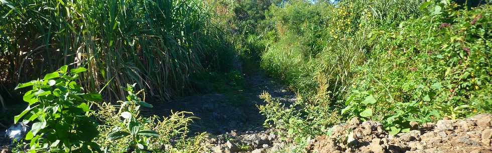 6 juin 2014 - Ligne Paradis - Chemin d'exploitation dtruit  par Bjisa