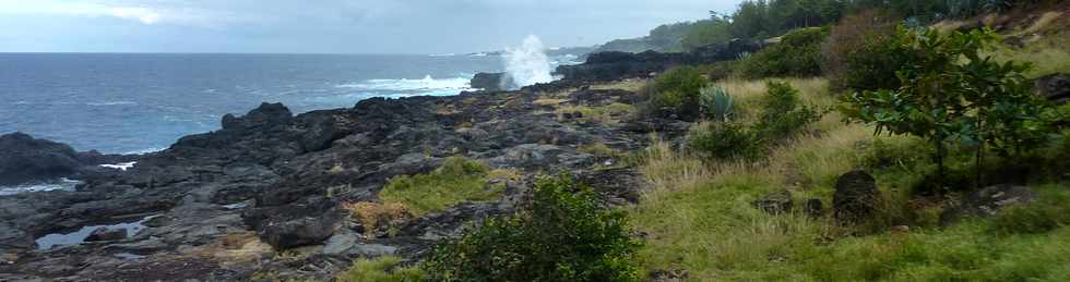 11 juin 2014 - St-Pierre - Grands Bois - Littoral vers Terre Sainte