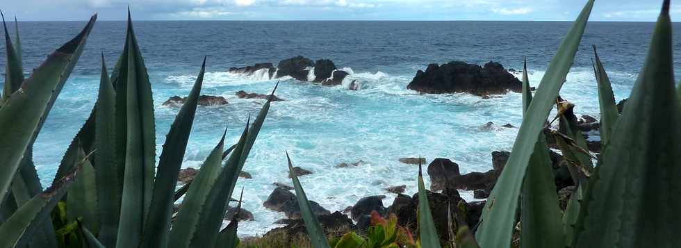 11 juin 2014 - St-Pierre - Grands Bois - Littoral