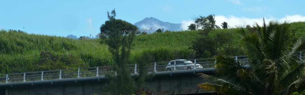 11 juin 2014 - St-Pierre - Grands Bois - Piton des Neiges