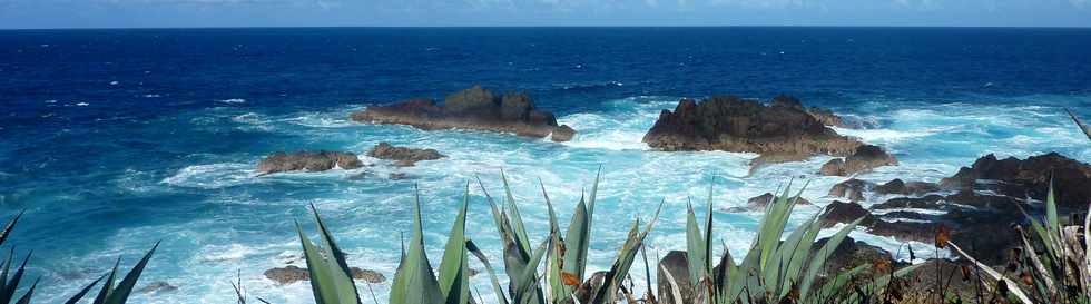 18 juin 2014 - Grands Bois - Littoral