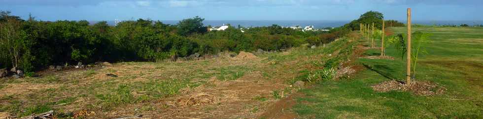 22 juin 2014 - St-Pierre - ZAC Canabady -