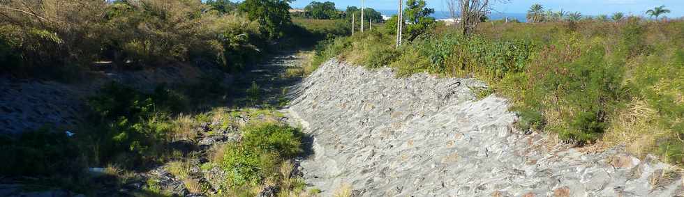 25 juin 2014 - St-Pierre - Bois d'Olives - Ravine des Cabris