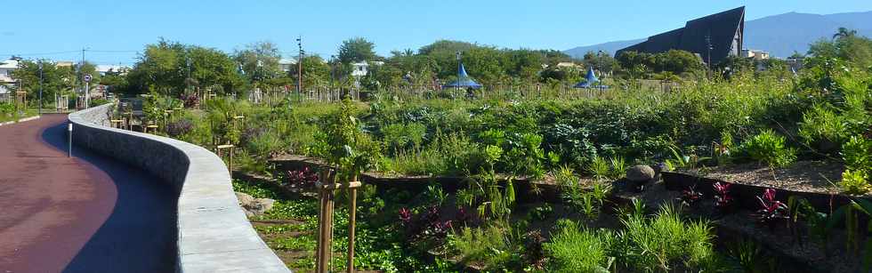 25 juin 2014 - St-Pierre - Ravine Blanche - Parc urbain