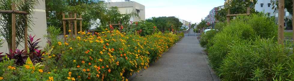 29 juin 2014 - St-Pierre - Parterres rue du Mahatma Gandhi