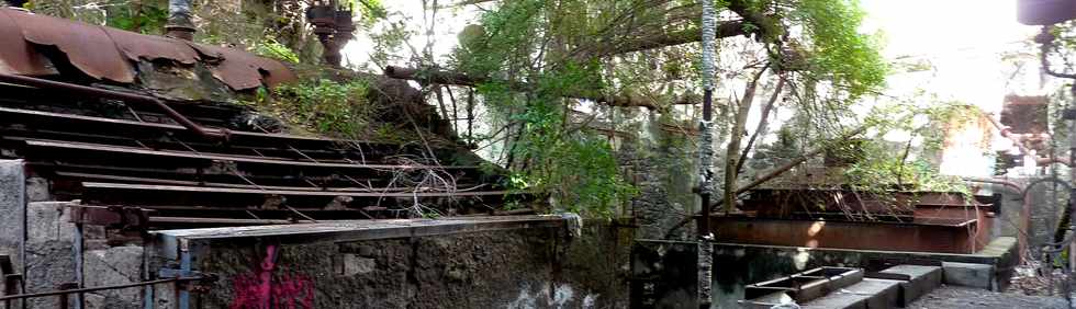 29 juin 2014 - St-Pierre - Ancienne usine sucrire de Pierrefonds -