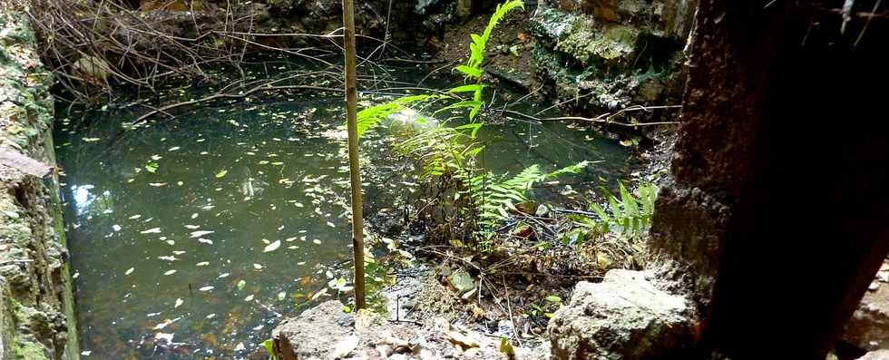 29 juin 2014 - St-Pierre - Ancienne usine sucrire de Pierrefonds -