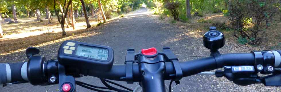 4 juillet 2014 - St-Paul -  Piste cyclable dans la fort du bord de mer