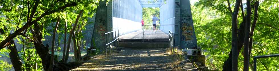 4 juillet 2014 - St-Paul - Passerelle sur l'tang