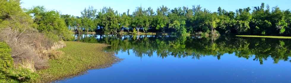 4 juillet 2014 - St-Paul - Embouchure de l'étang