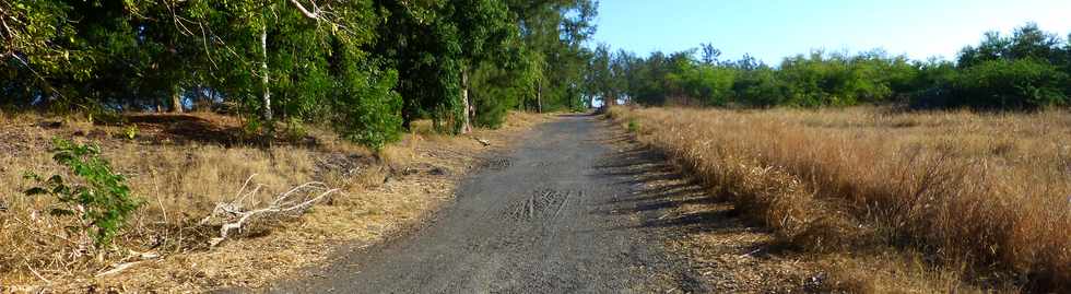 4 juillet 2014 - St-Paul - Route forestire de Cambaie