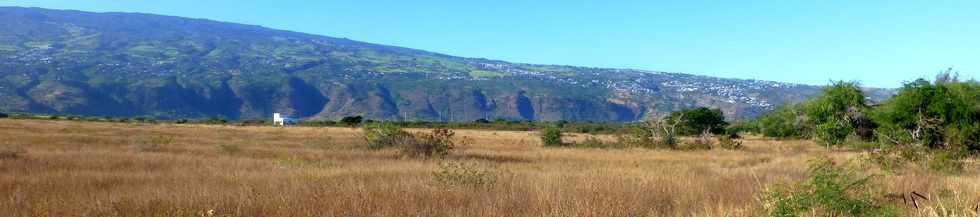 4 juillet 2014 - St-Paul - Route forestire de Cambaie