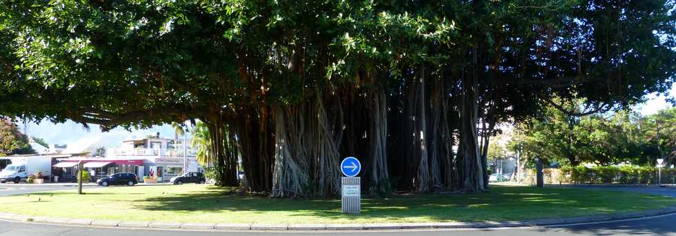 4 juillet 2014 - Le Port - Rond-point de la Glacire