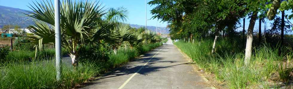 4 juillet 2014 - Le Port - Ecoparc - Piste cyclable