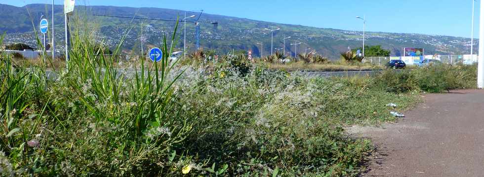 4 juillet 2014 - St-Paul - Entretien des espaces verts