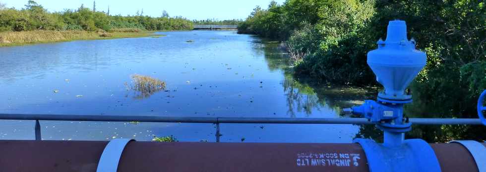 4 juillet 2014 - St-Paul - Etang