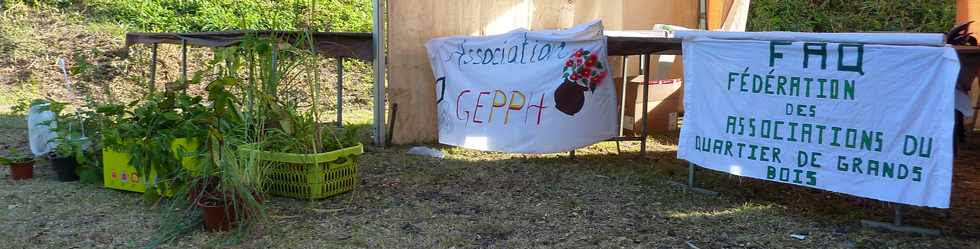 6 juillet 2014 - St-Pierre - Grands Bois - Saknoufé - Associations GEPPH et FAQ