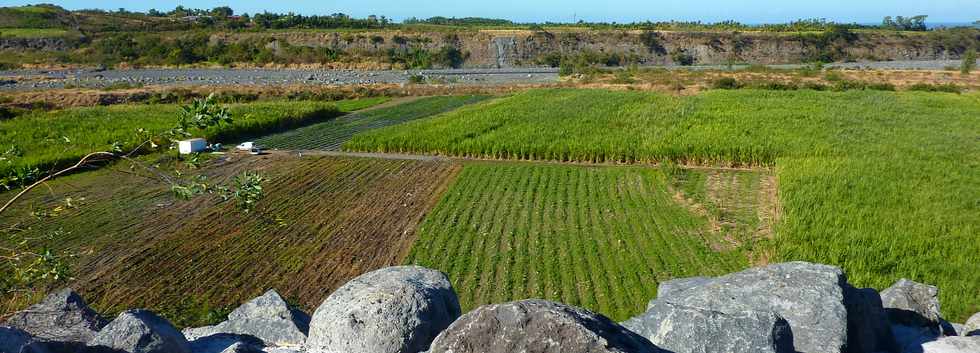 9 juillet 2014 - St-Louis - Chantier interconnexion Bras de la Plaine - Bras de Cilaos