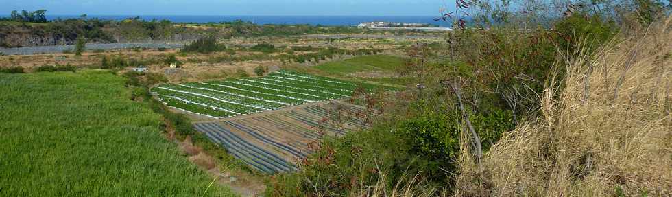 9 juillet 2014 - St-Louis - Chantier interconnexion Bras de la Plaine - Bras de Cilaos