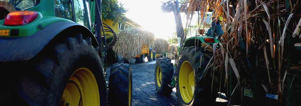 16 juillet 2014 - St-Pierre - Balance des Casernes - Ouverture de la campagne sucrire