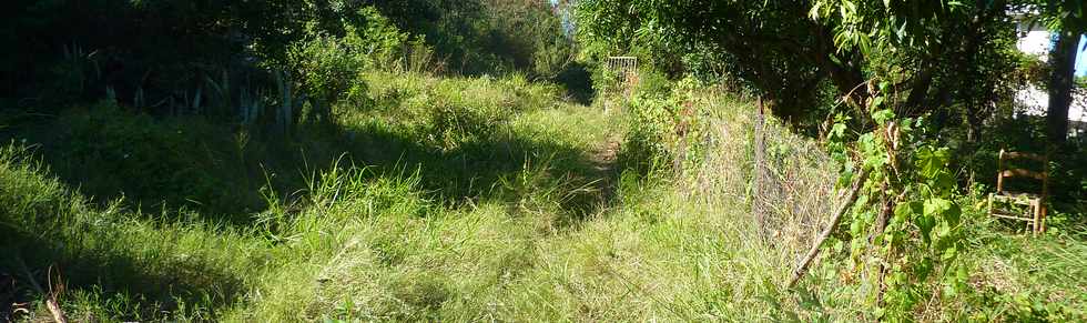 20 juillet 2014 - St-Pierre - Bois d'Olives - Chemin Canal Sabrap