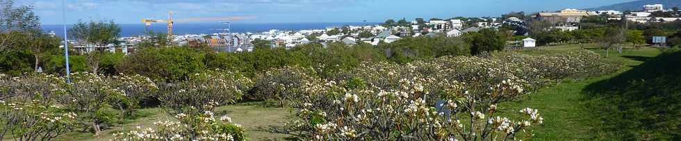 10 septembre 2014 - St-Pierre - ZAC Ocan Indien -