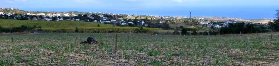 19 septembre 2014 - St-Paul - Vue sur St-Gilles