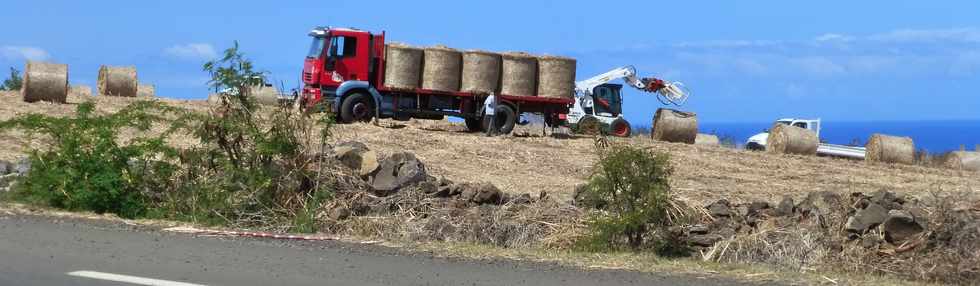 19 septembre 2014 - St-Paul - Rouleaux de paille de canne