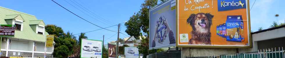 19 septembre 2014 - St-Paul - St-Gilles - Panneaux publicitaires