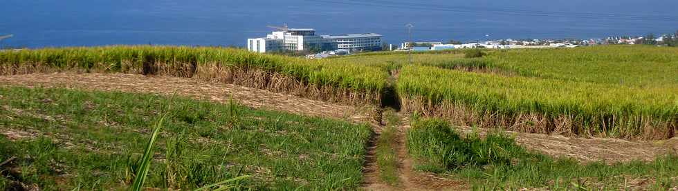 21 septembre 2014 - St-Pierre - Bassin Plat - Vue sur le CHU