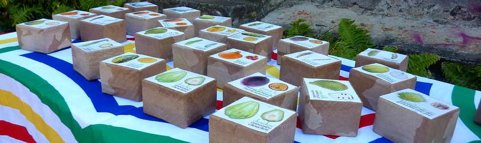 21 septembre 2014 - St-Pierre - Journée du Patrimoine aux calbanons de Grands Bois - La Cafrine - Association Pêcheurs Golèt - Mémory fruits et légumes