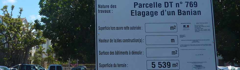 24 septembre 2014 - St-Pierre - Banian du parking Albany - Panneau de dclaration pralable d'lagage