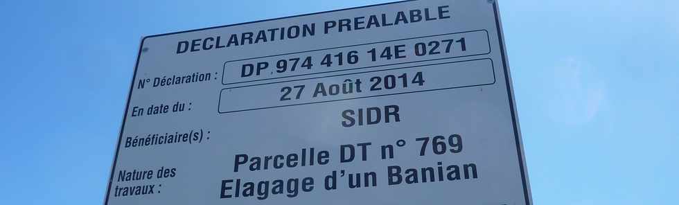 24 septembre 2014 - St-Pierre - Banian du parking Albany - Panneau de déclaration préalable d'élagage