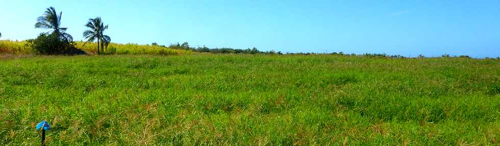 28 septembre 2014 - St-Pierre - Pierrefonds - Herbages