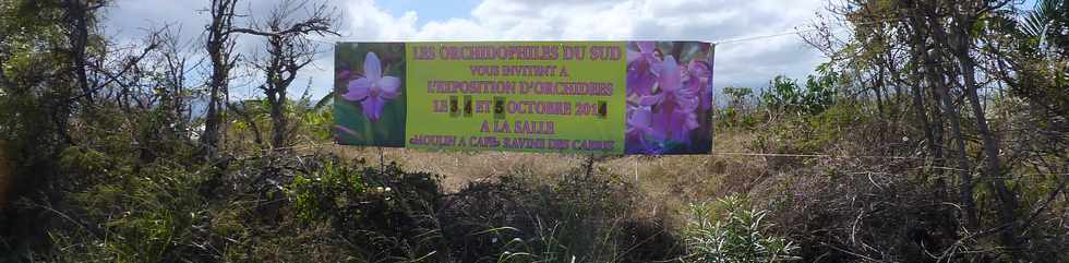 28 septembre 2014 -St-Pierre - Expo orchides