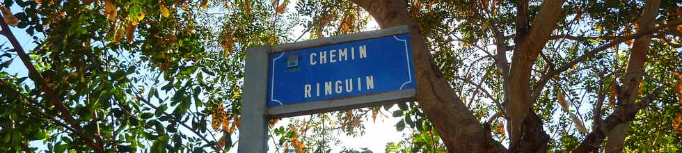 1er octobre 2014 - St-Pierre - Chemin Ringuin, Bassin Plat