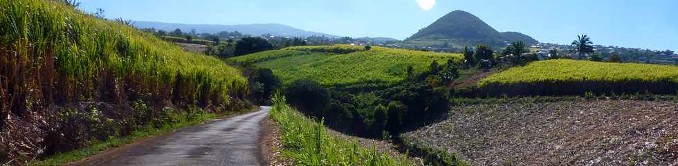 1er octobre 2014 - St-Pierre - Bassin Plat - Vue vers le Piton Mont Vert