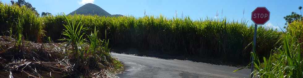 1er octobre 2014 - St-Pierre - Chemin Ringuin - Arrive au chemin Boissy