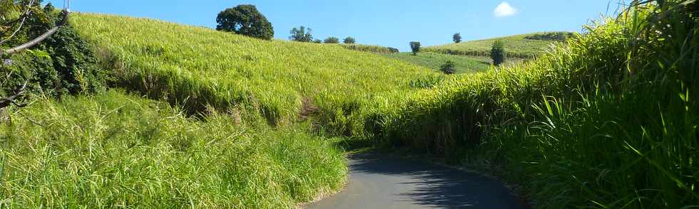 1er octobre 2014 - St-Pierre - Descente du chemin Boissy