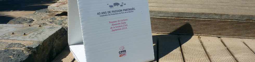 1er octobre 2014 -St-Pierre - Exposition CPPR L'art et le cochon -