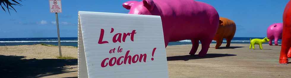 1er octobre 2014 -St-Pierre - Exposition CPPR L'art et le cochon -