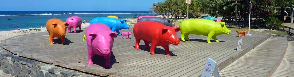 1er octobre 2014 -St-Pierre - Exposition CPPR L'art et le cochon -