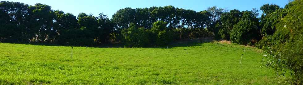 3 octobre 2014 - St-Pierre - Chemin Bassin Martin - Herbages